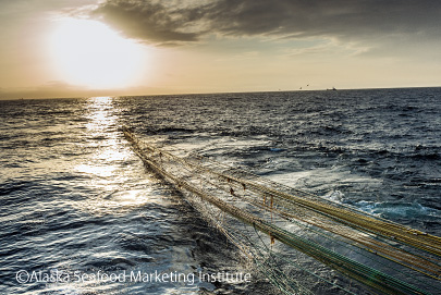 写真：オホーツク海のスケトウダラ漁の様子