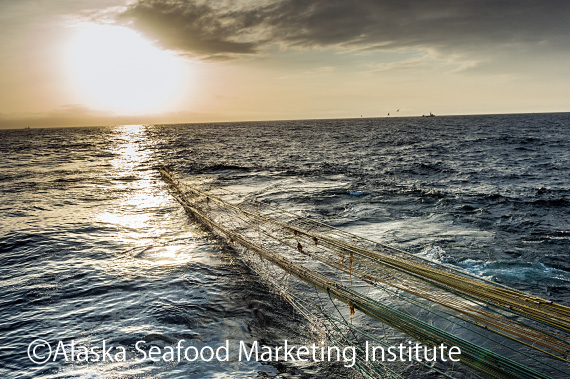 写真：オホーツク海のスケトウダラ漁の様子